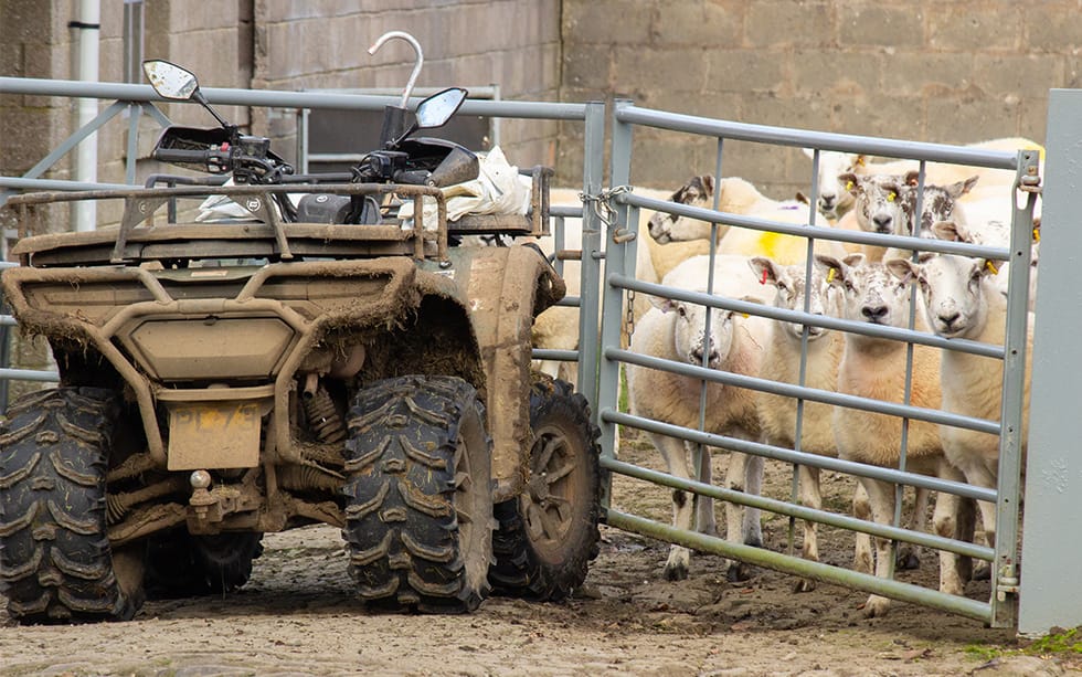 Protected: 7 Ways to Protect Your Quad Bike or ATV from Rural Theft